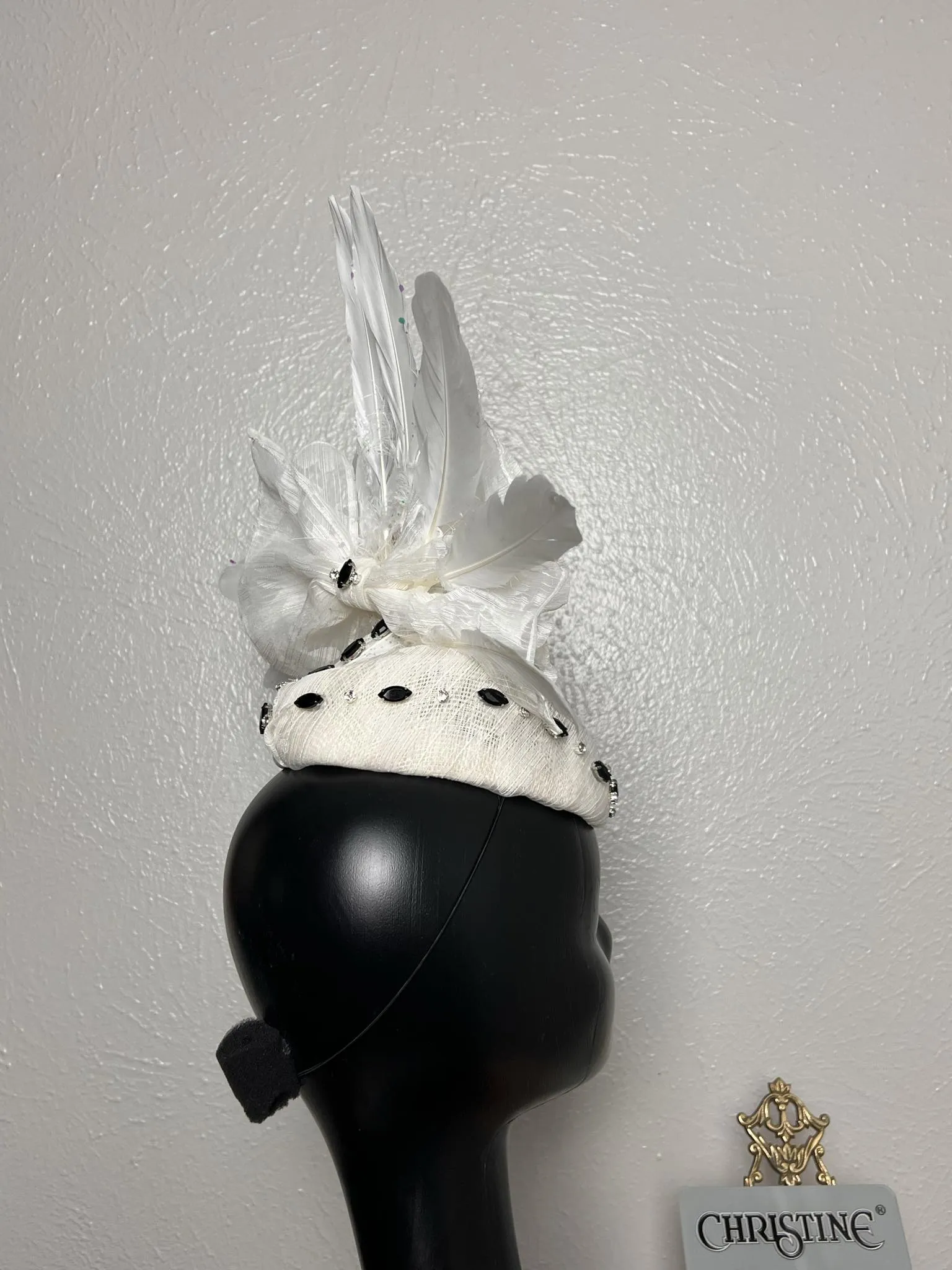 White hat Peacock spreads its wings